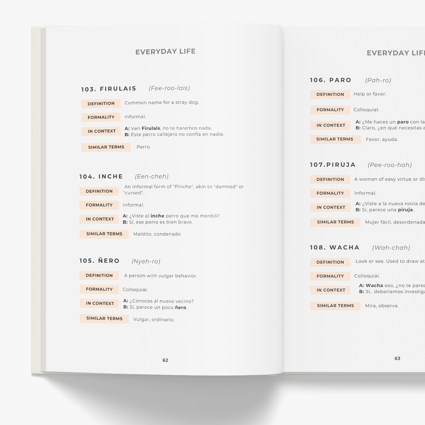 Mexican Spanish Phrasebook