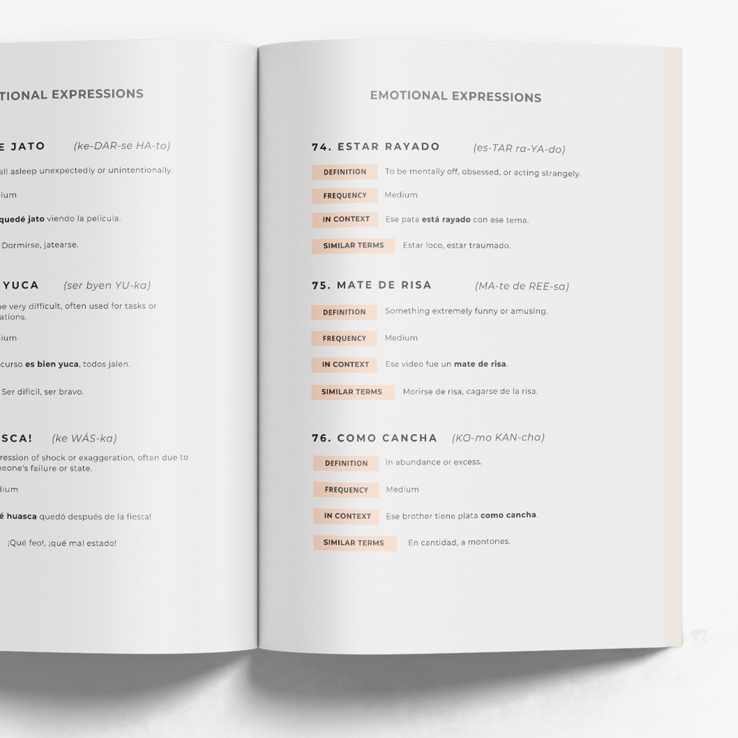 Peruvian Spanish Phrasebook