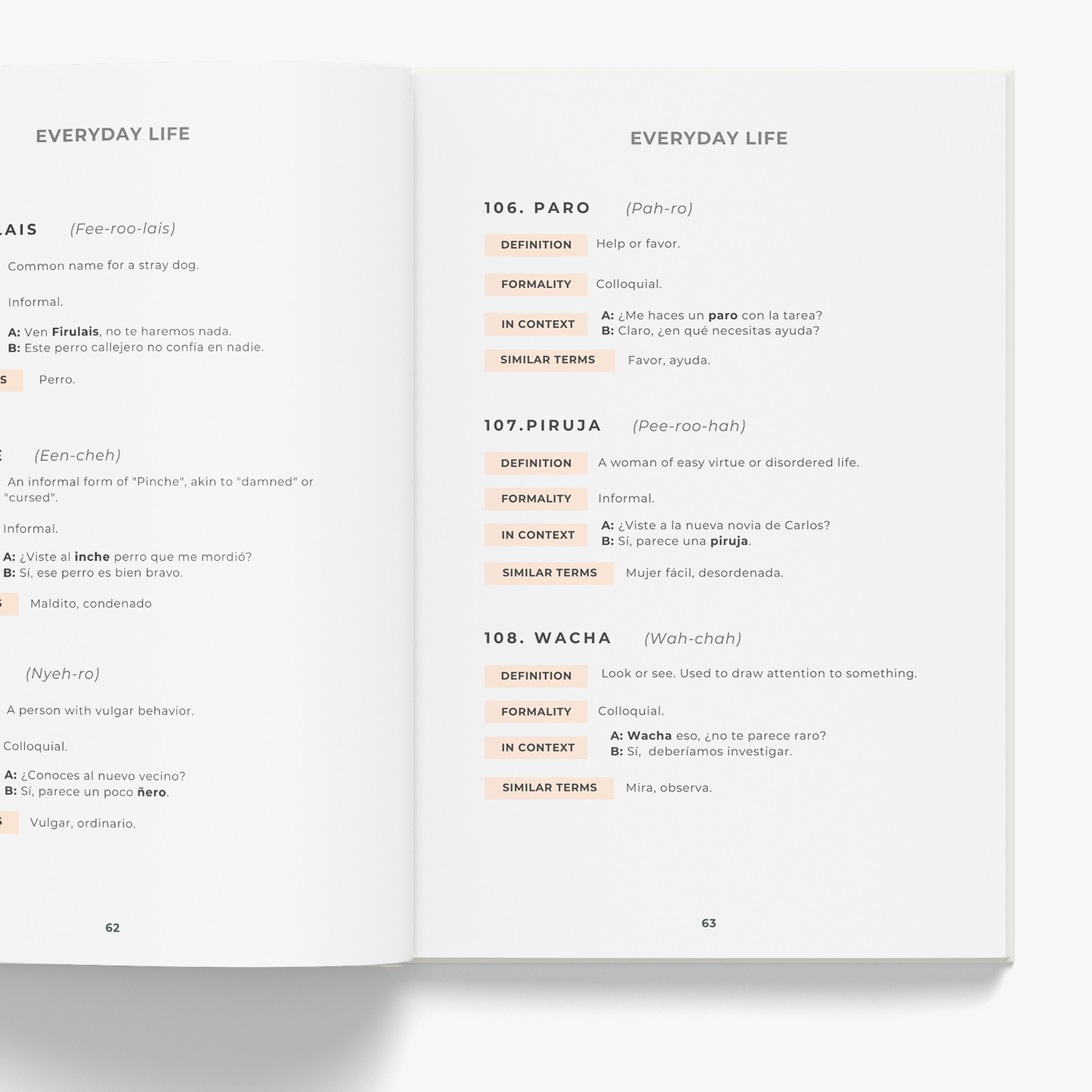 Mexican Spanish Phrasebook