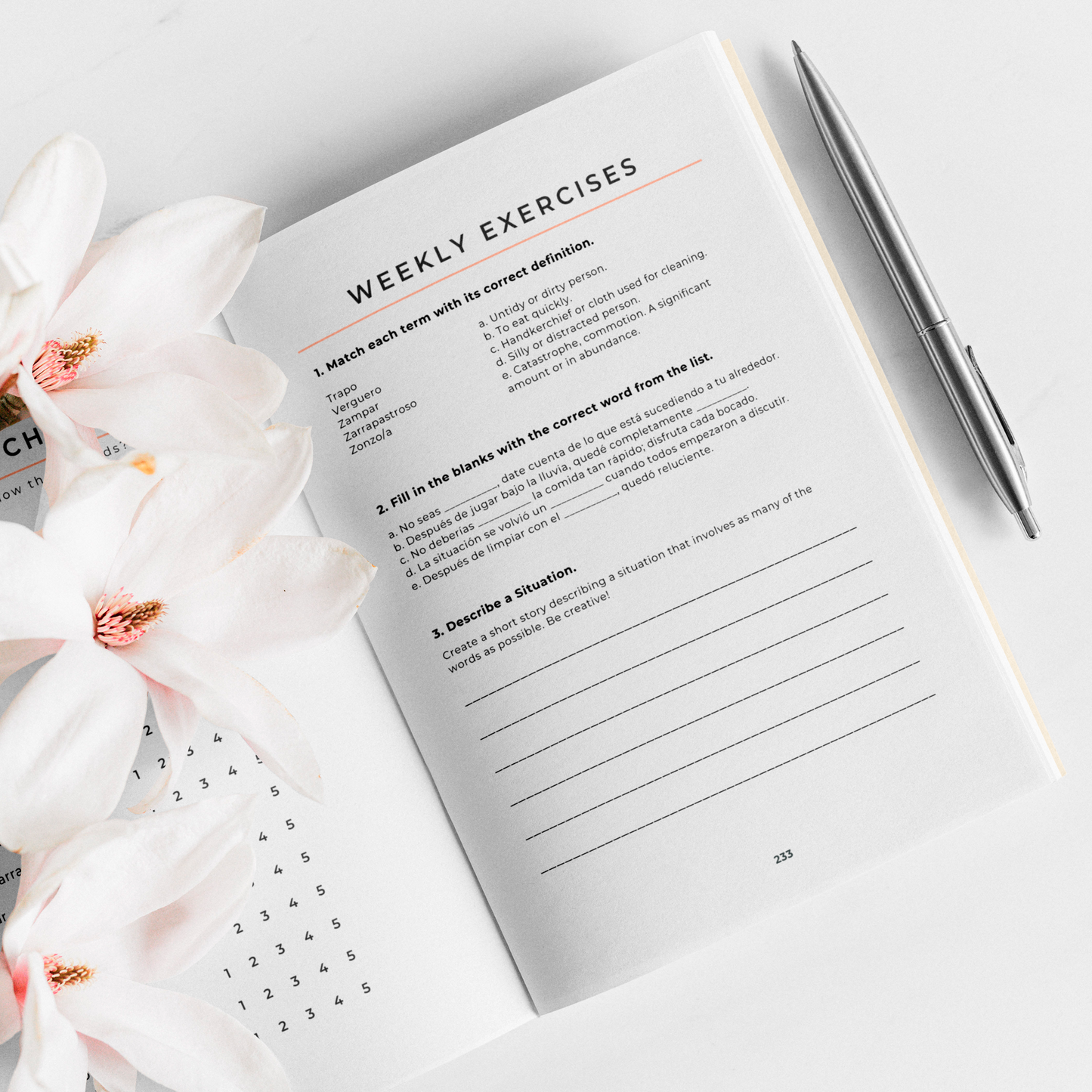 The 5-Minute Latin American Spanish Journal