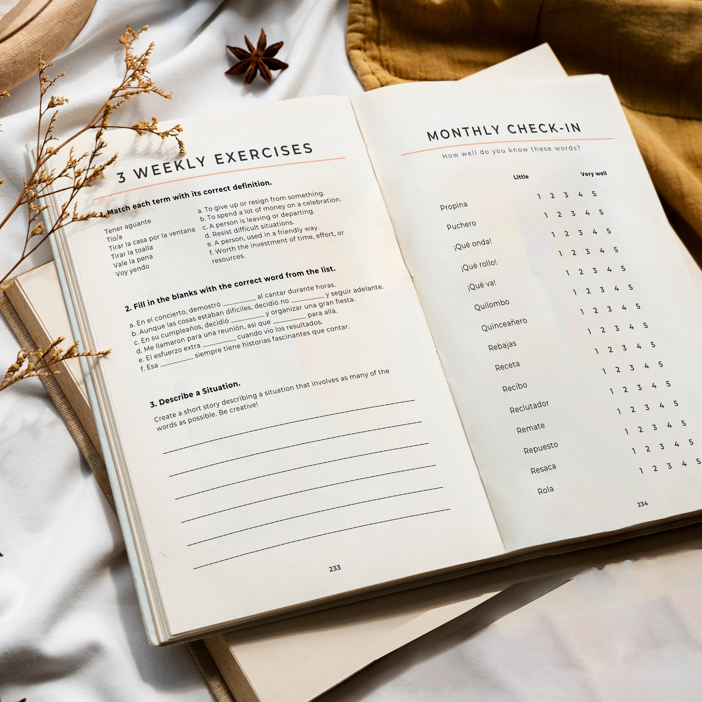 The 5-Minute Spanish Journal