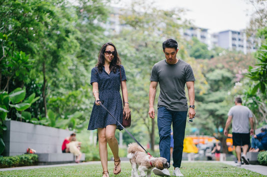 20 Everyday Words You Need to Learn for Daily Life