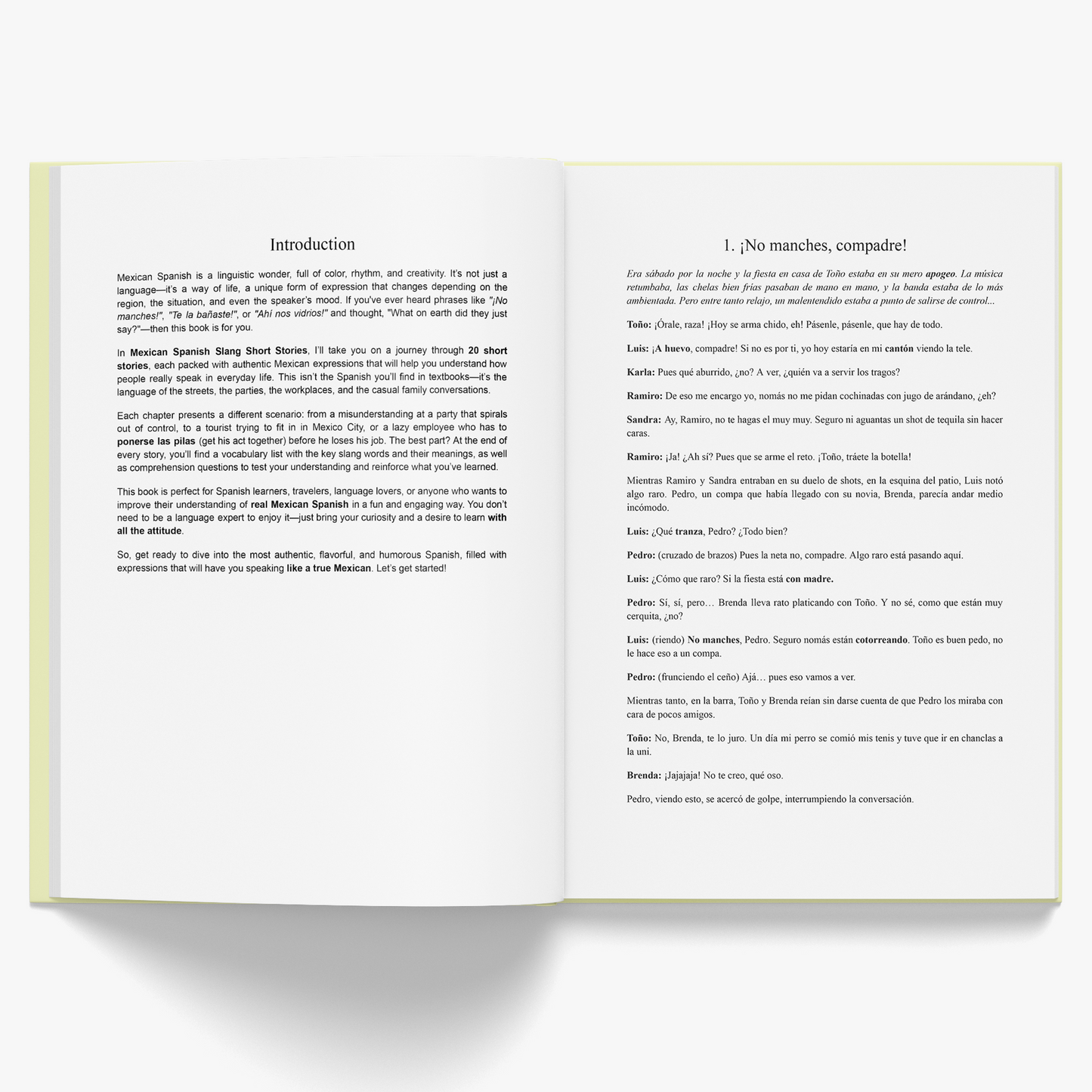 Mexican Spanish Slang Short Stories