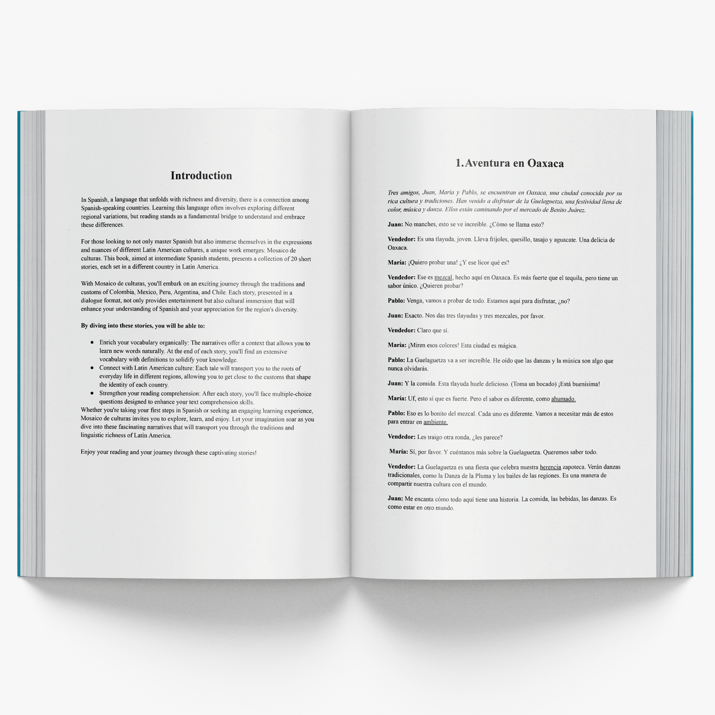 Mexican Spanish Adventures