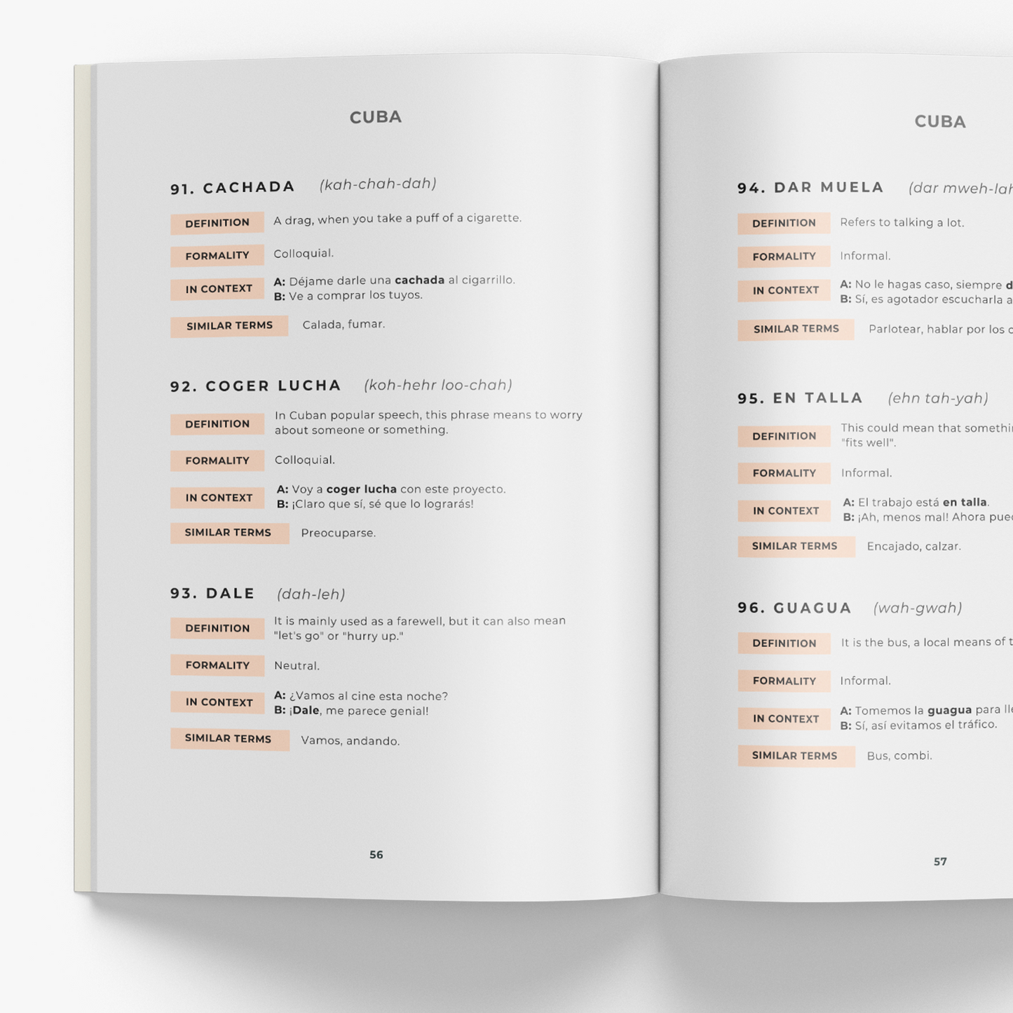 Latin American Spanish Phrasebook