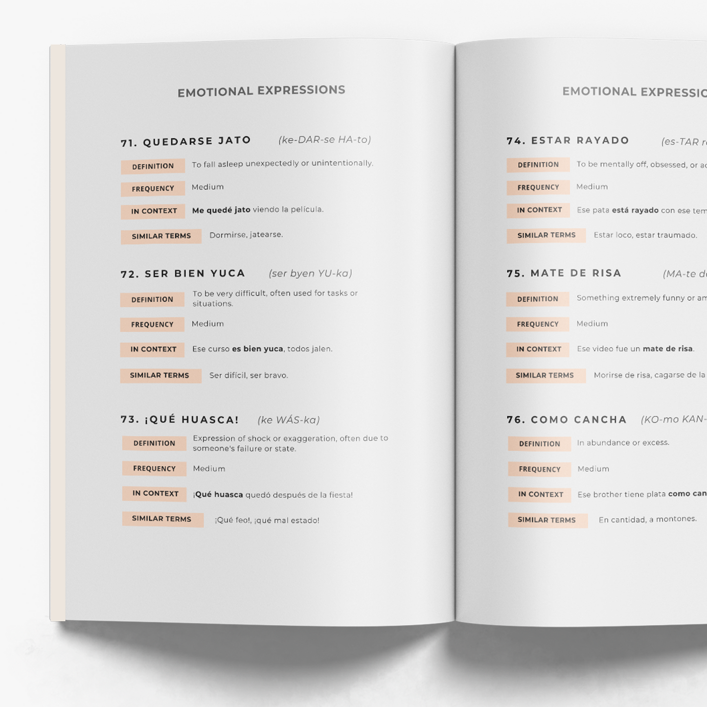 Peruvian Spanish Phrasebook