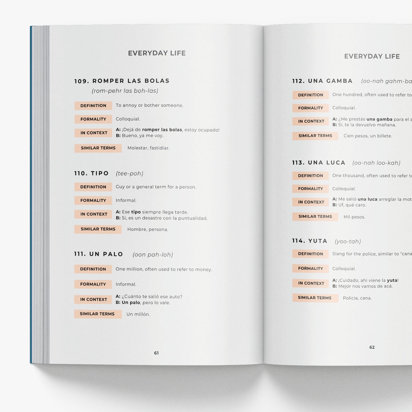 Argentinian Spanish Phrasebook