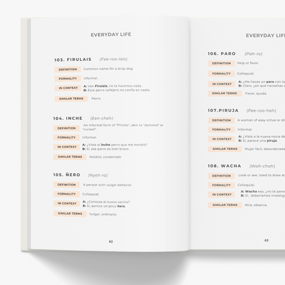 Mexican Spanish Phrasebook