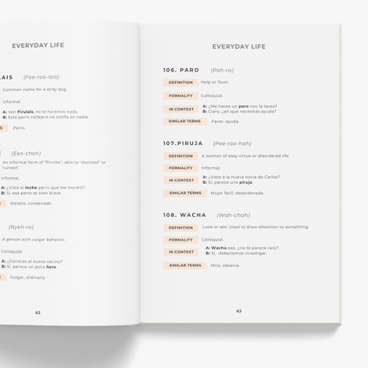 Mexican Spanish Phrasebook