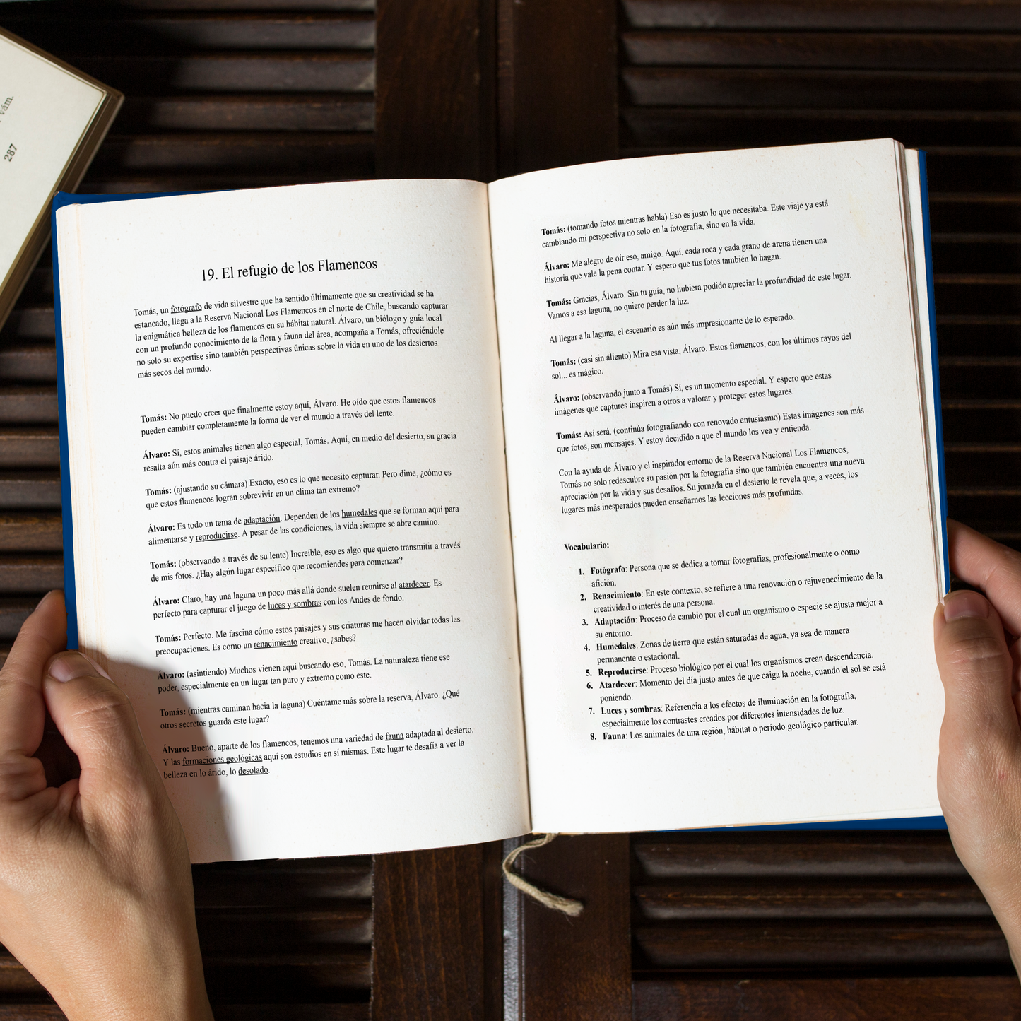 Latin Spanish Cultural Essentials