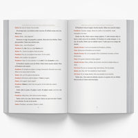 Argentinian Scary Short Stories in Spanish for Beginners — image 5