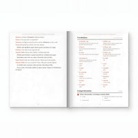 Bolivian Christmas Short Stories in Spanish for Beginners — image 2