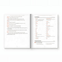 Bolivian Christmas Short Stories in Spanish for Beginners — image 4
