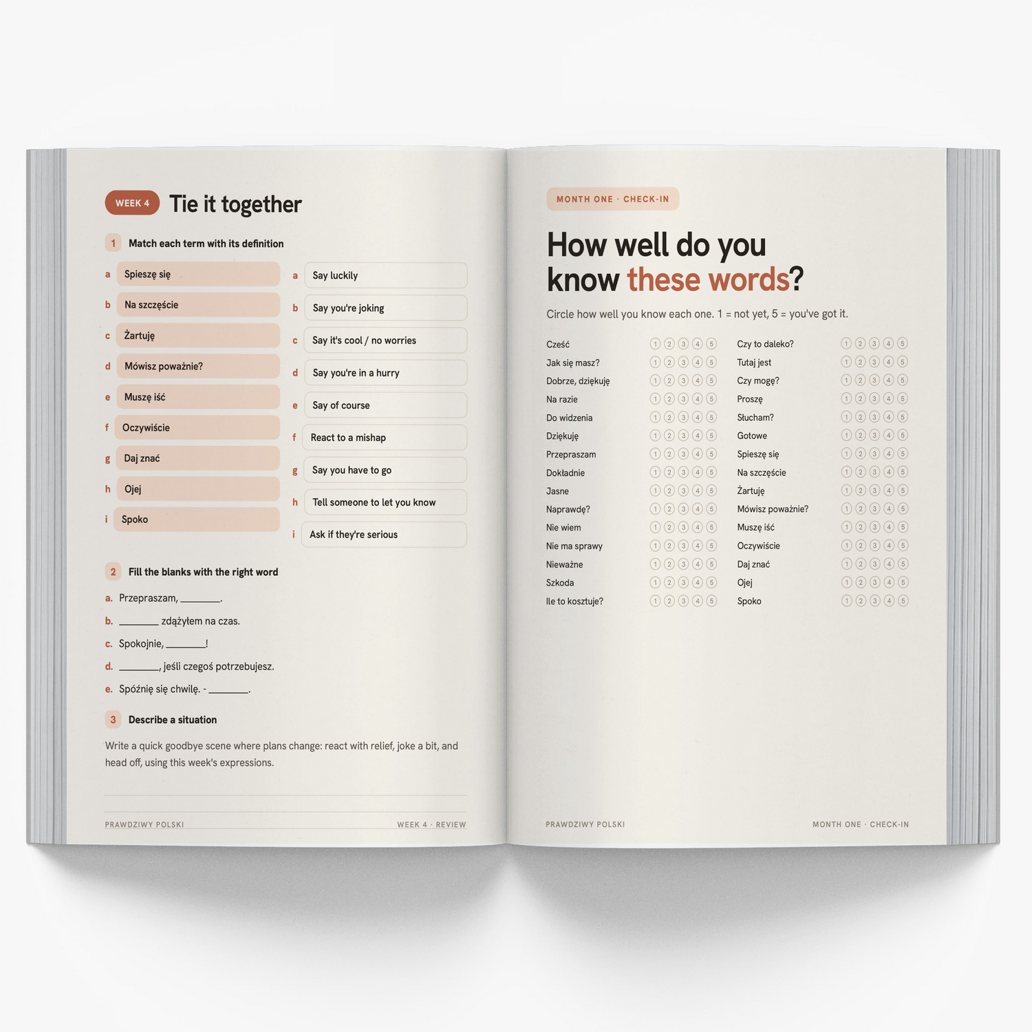 The 5-Minute Polish Journal for Beginners