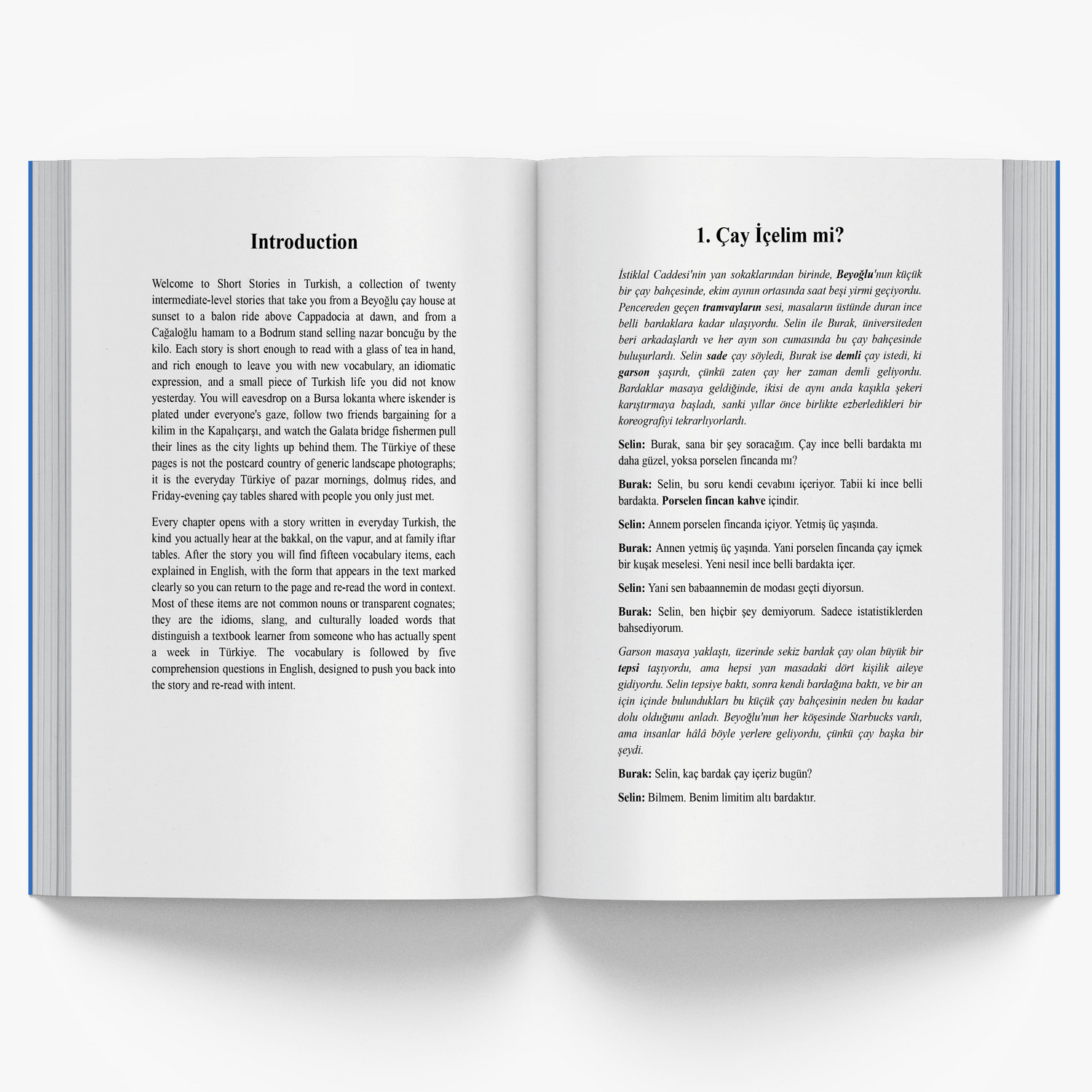 Short Stories in Turkish