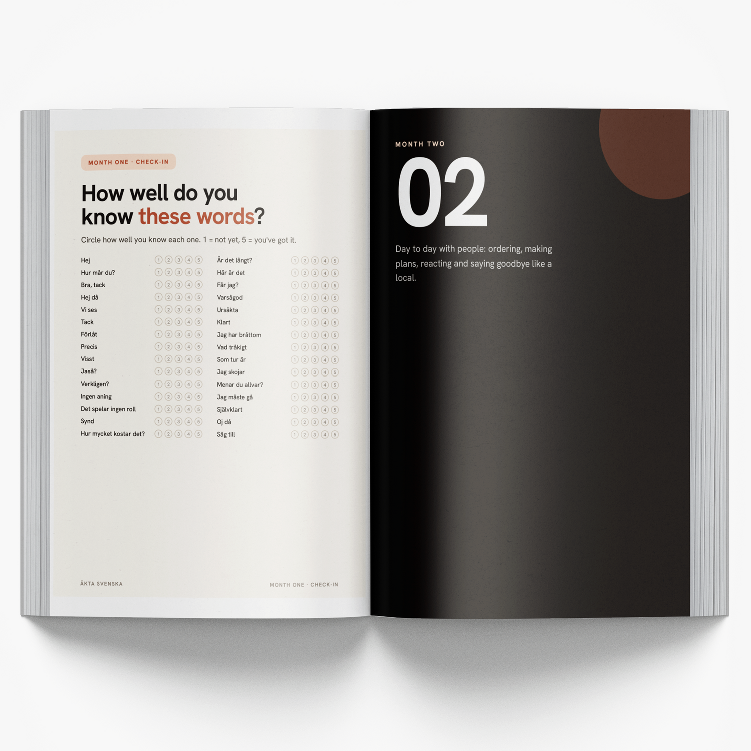 The 5-Minute Swedish Journal for Beginners