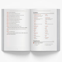 Chilean Christmas Short Stories in Spanish for Beginners — image 2