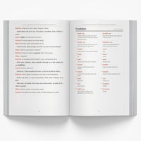Chilean Christmas Short Stories in Spanish for Beginners — image 4