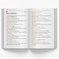 Ecuadorian Christmas Short Stories in Spanish for Beginners — image 4