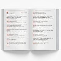 Guatemalan Christmas Short Stories in Spanish for Beginners — image 2