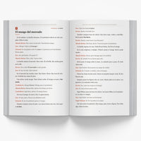 Honduran Christmas Short Stories in Spanish for Beginners — image 2