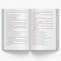 mexican-christmas-book interior-1, image 2