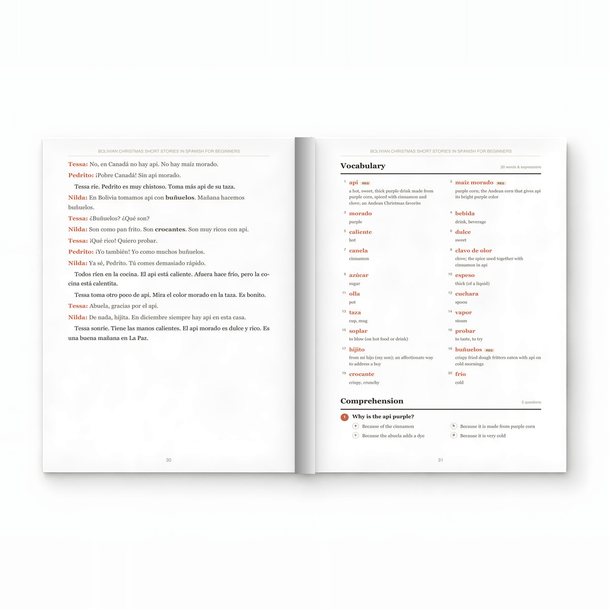 Bolivian Christmas Short Stories in Spanish for Beginners mockup