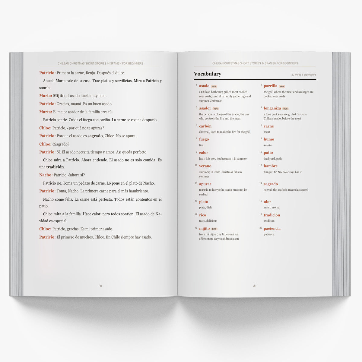 Chilean Christmas Short Stories in Spanish for Beginners mockup