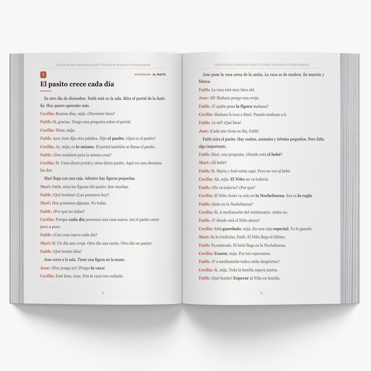 Costa Rican Christmas Short Stories in Spanish for Beginners mockup