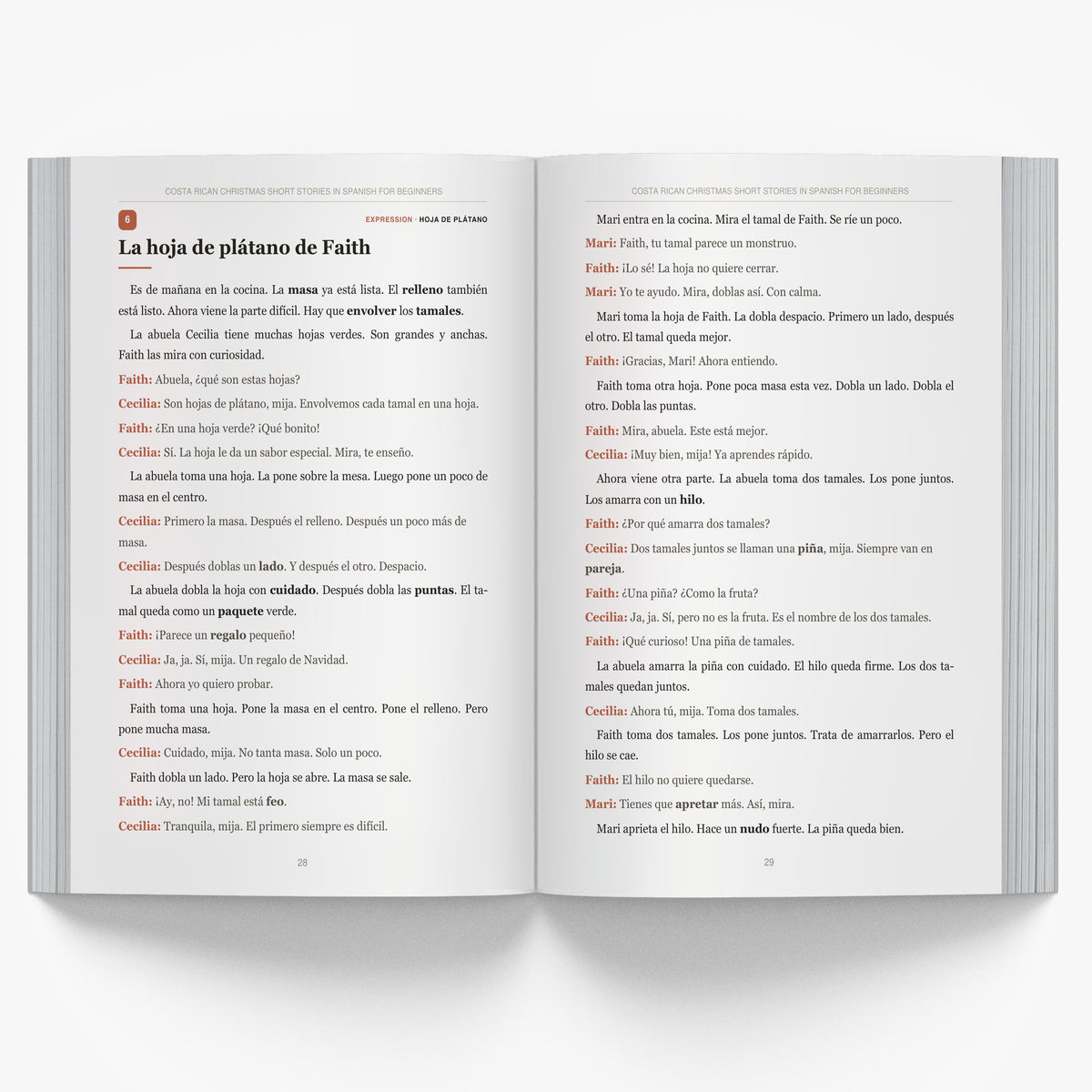 Costa Rican Christmas Short Stories in Spanish for Beginners mockup