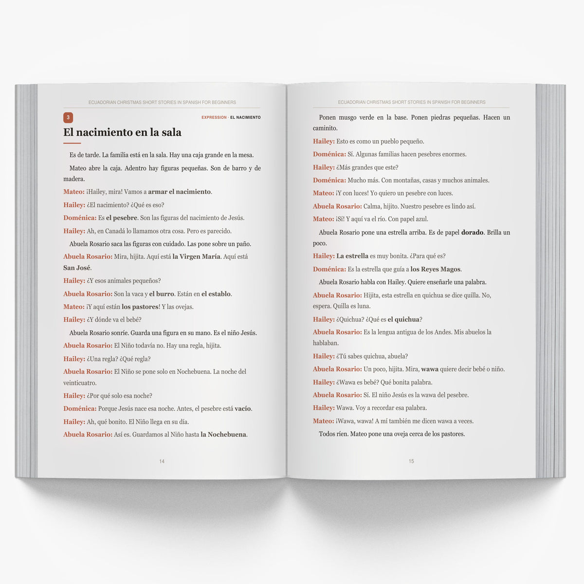 Ecuadorian Christmas Short Stories in Spanish for Beginners mockup
