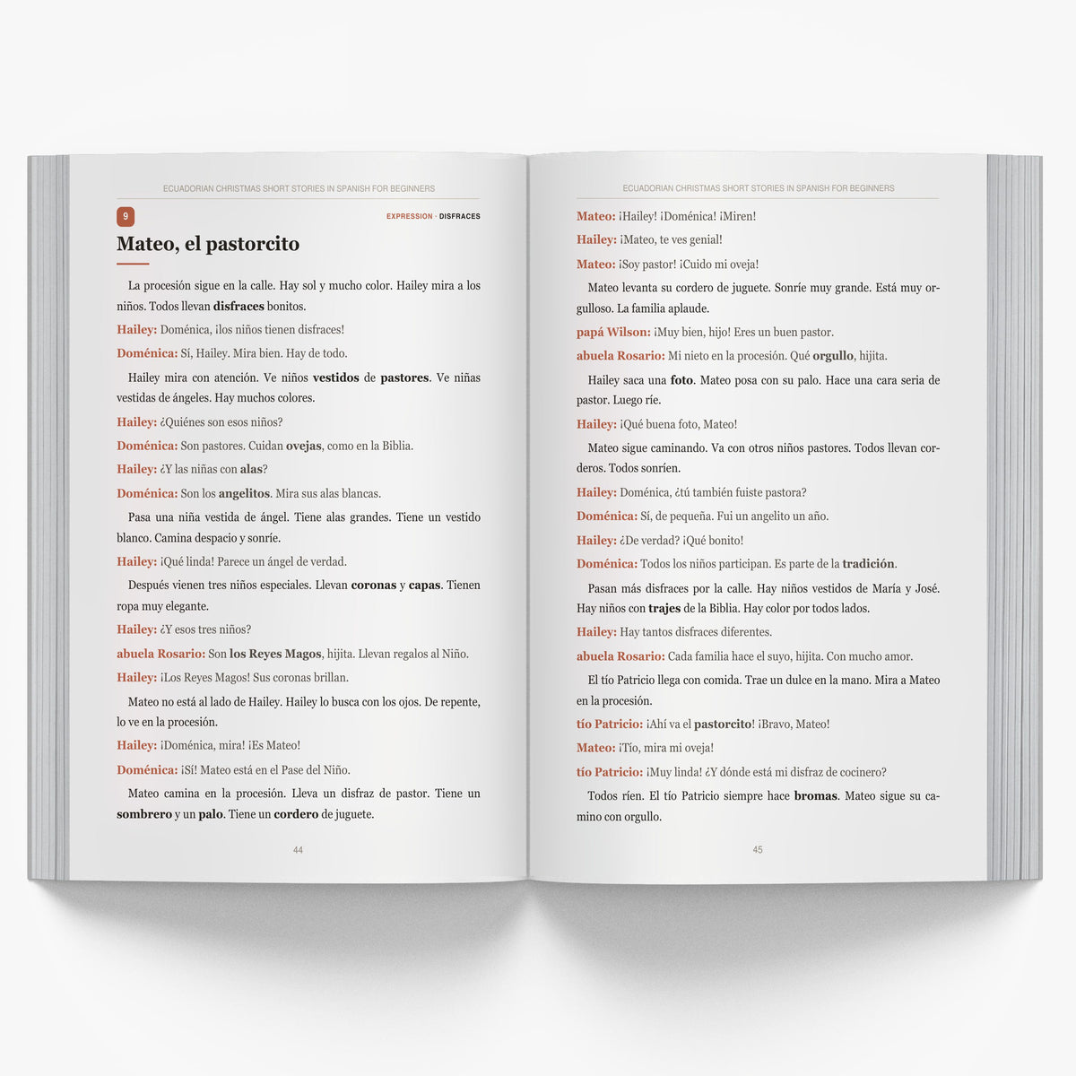 Ecuadorian Christmas Short Stories in Spanish for Beginners mockup