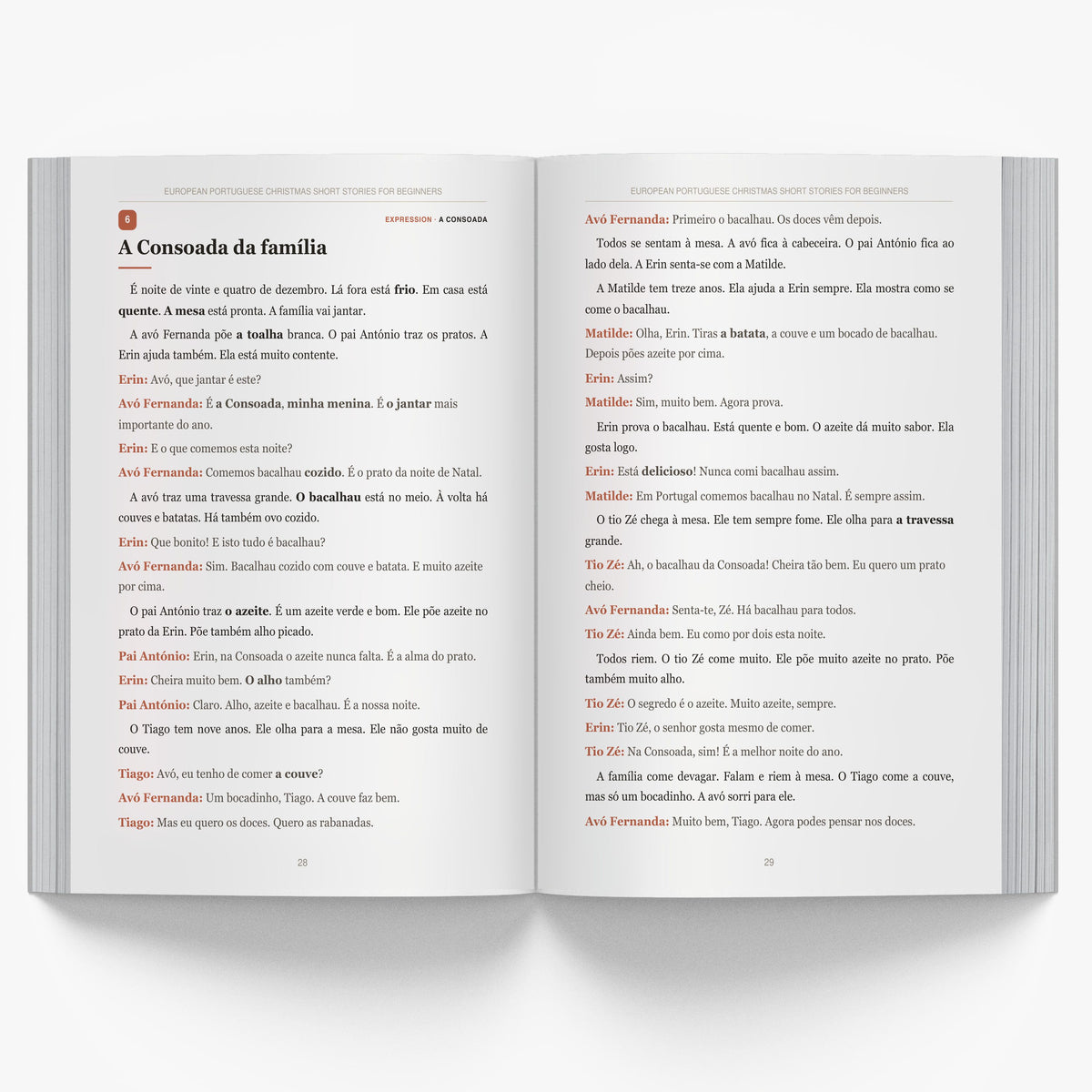 European Portuguese Christmas Short Stories for Beginners mockup