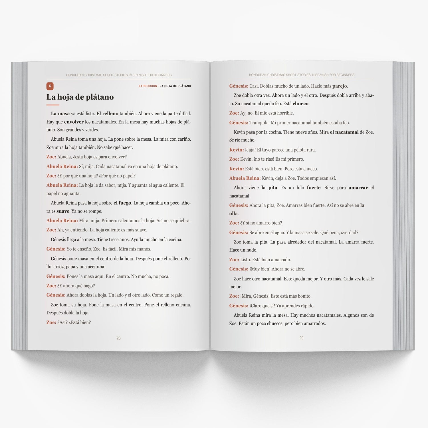 Honduran Christmas Short Stories in Spanish for Beginners mockup