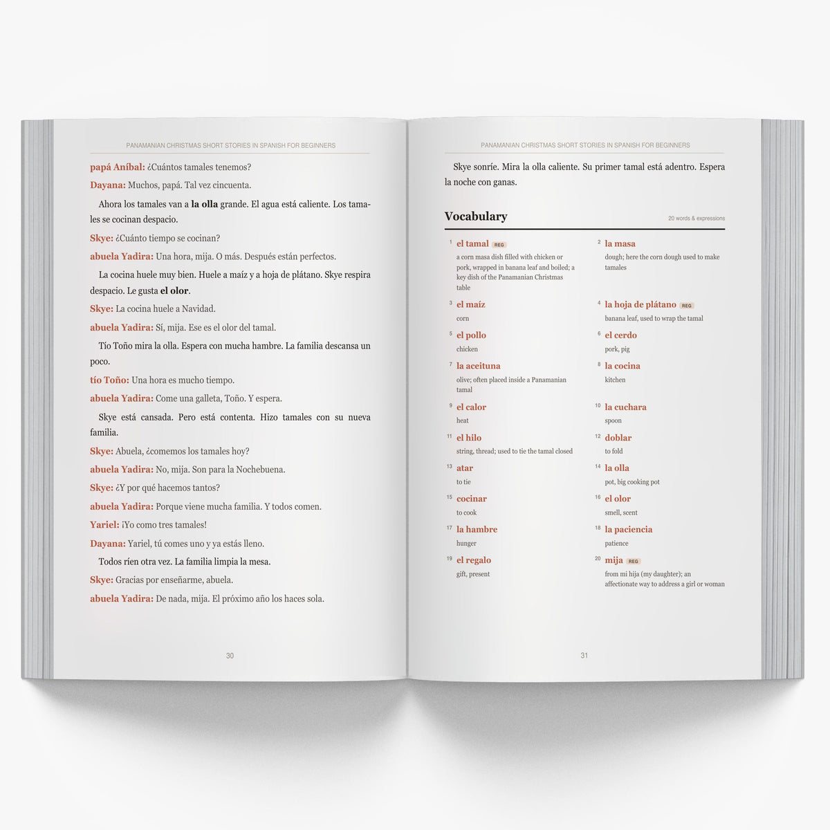 Panamanian Christmas Short Stories in Spanish for Beginners mockup