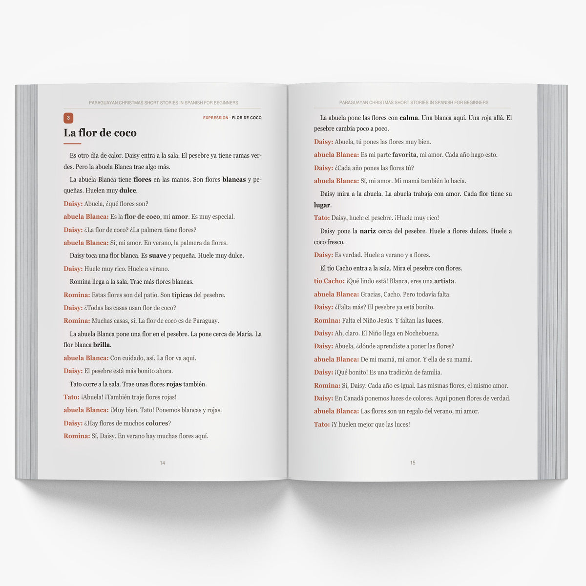 Paraguayan Christmas Short Stories in Spanish for Beginners mockup