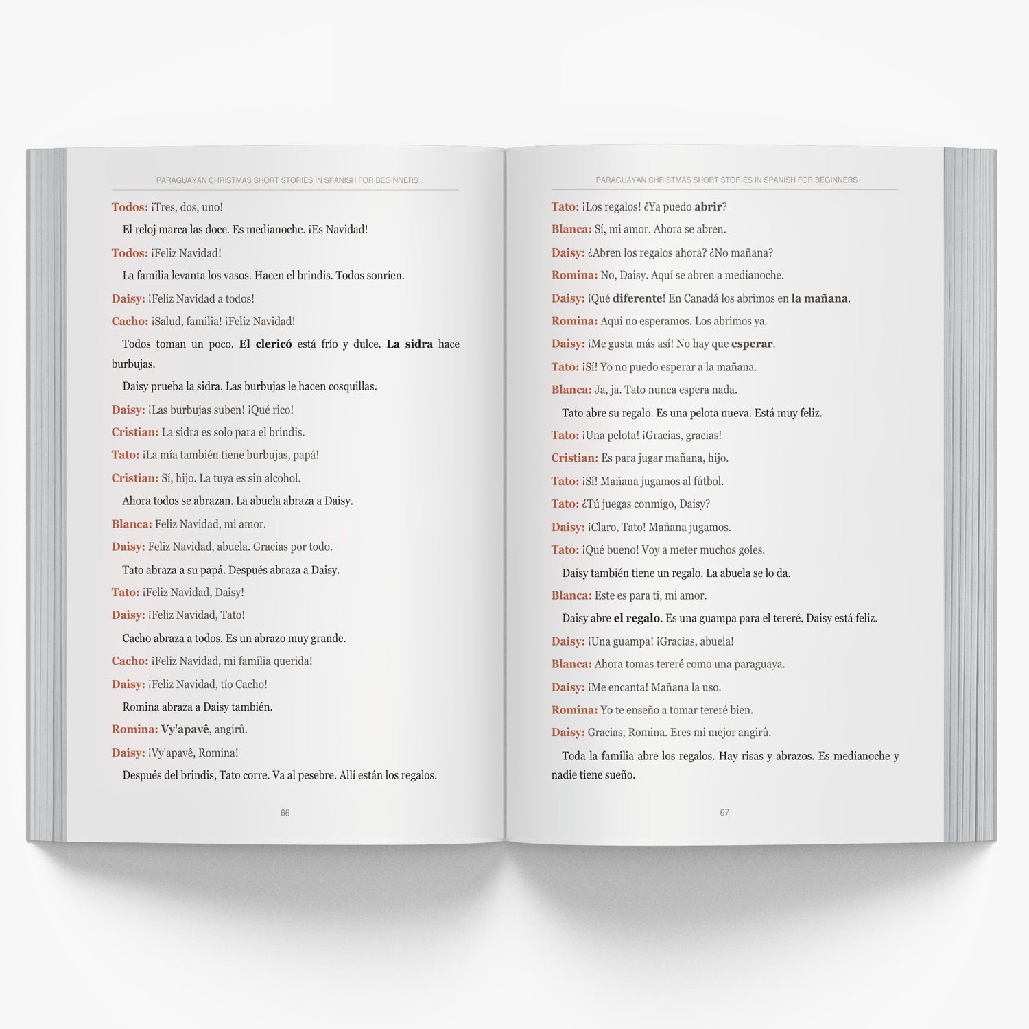 Paraguayan Christmas Short Stories in Spanish for Beginners mockup