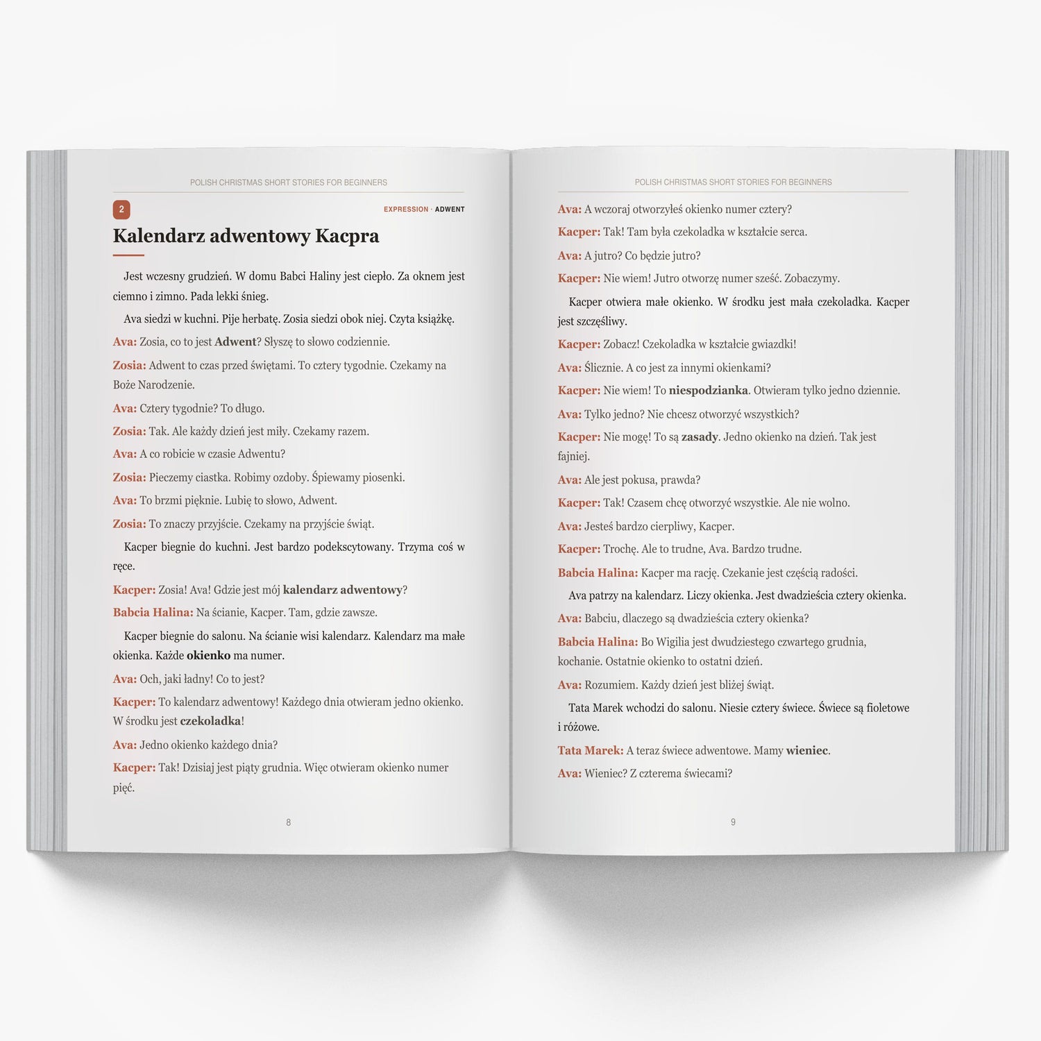 Polish Christmas Short Stories for Beginners mockup