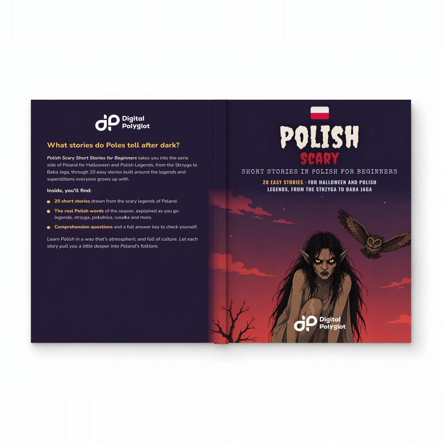 Polish Scary Short Stories for Beginners mockup