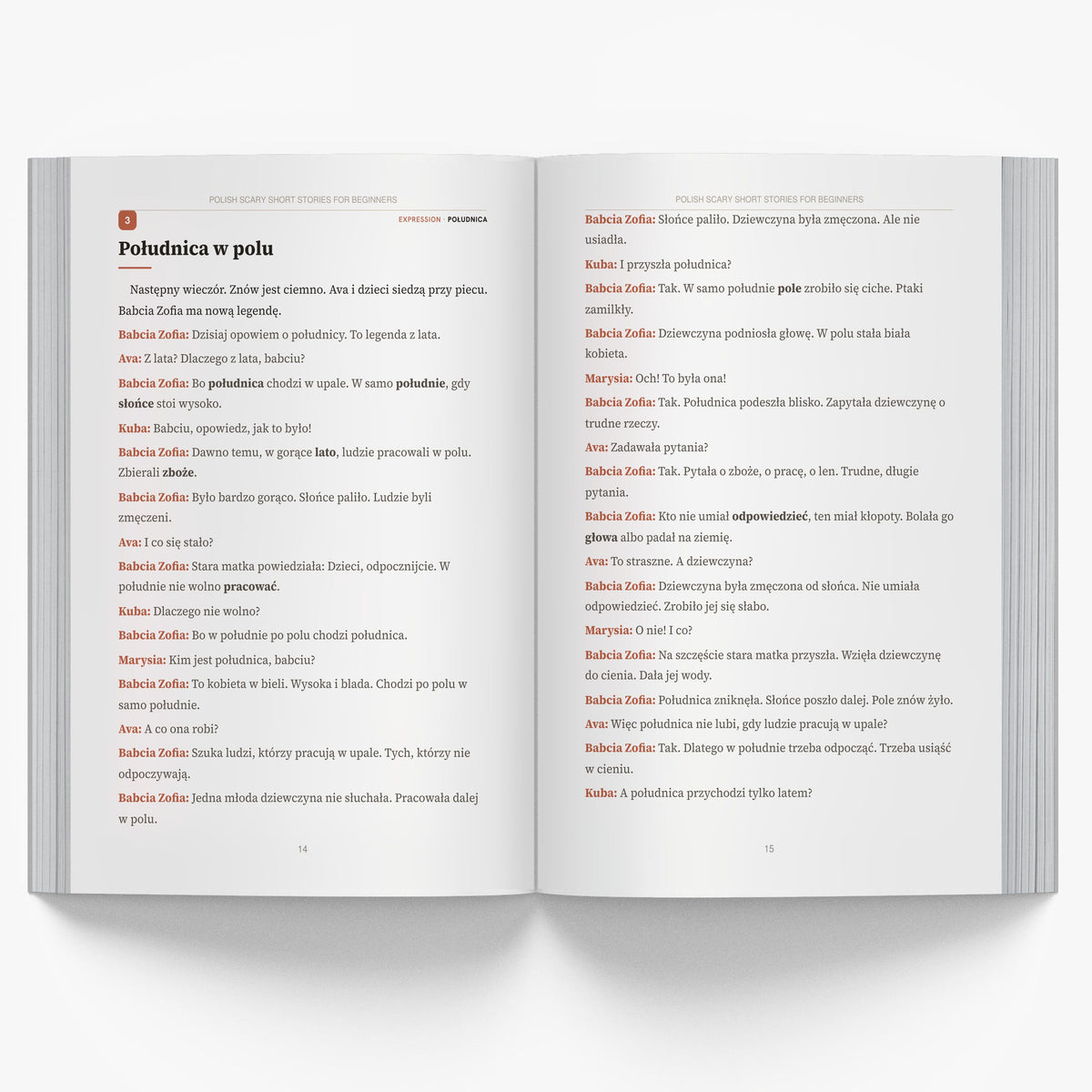 Polish Scary Short Stories for Beginners mockup