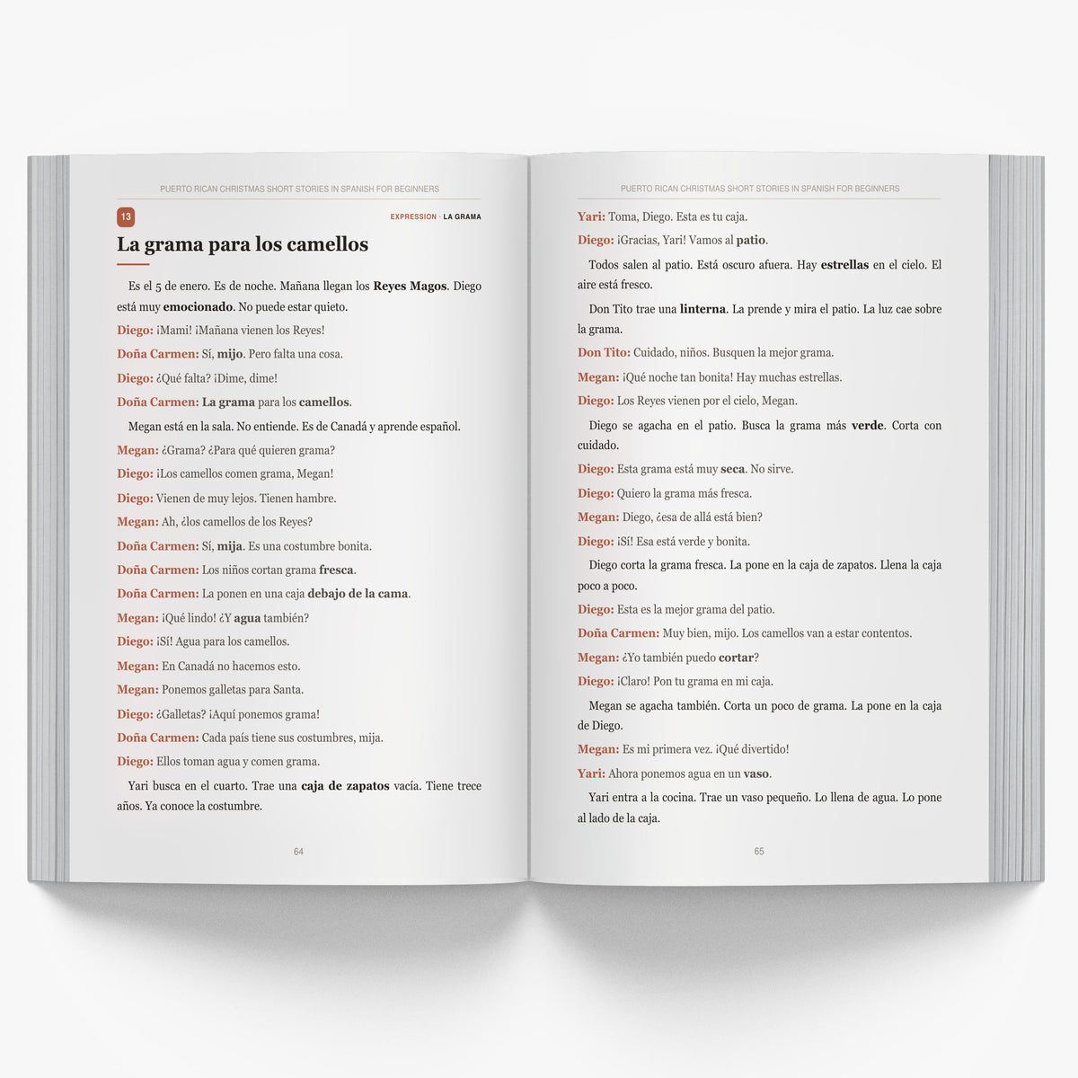 Puerto Rican Christmas Short Stories in Spanish for Beginners mockup