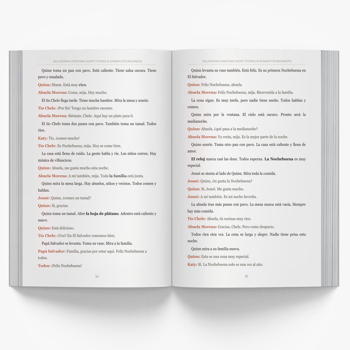 Salvadoran Christmas Short Stories in Spanish for Beginners mockup