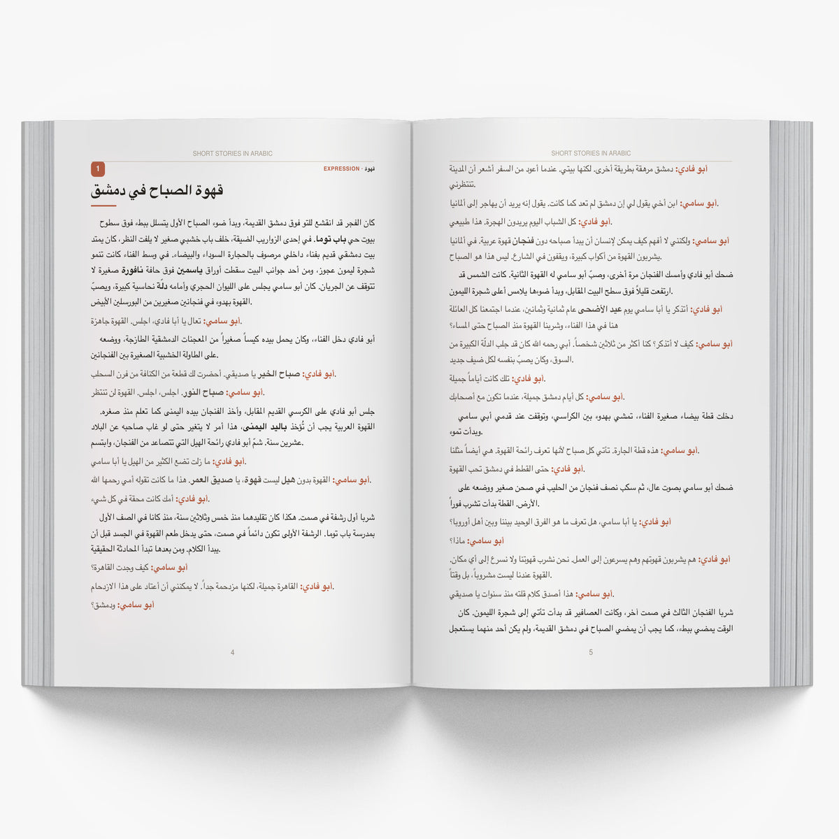 Short Stories in Arabic mockup interior stories