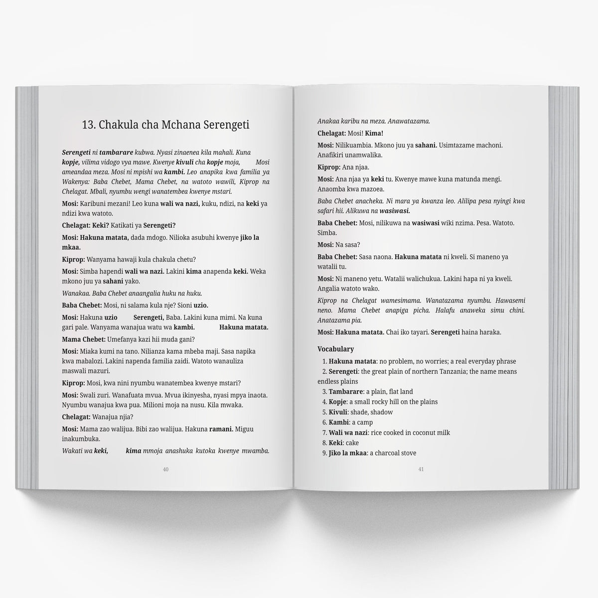 Short Stories in Swahili: Stories from the Heart of Africa mockup interior vocabulary
