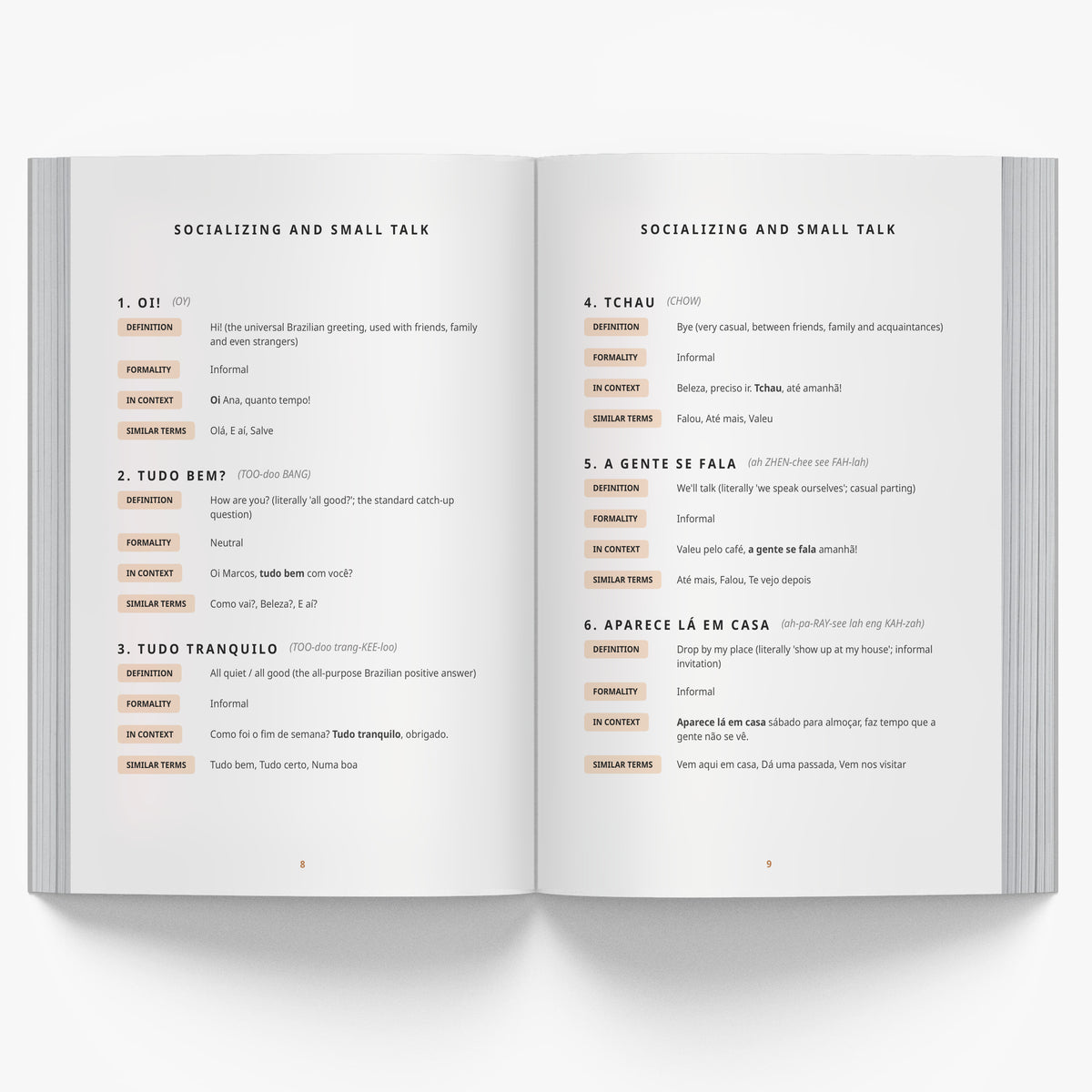 The Essential Brazilian Portuguese Everyday Phrasebook mockup
