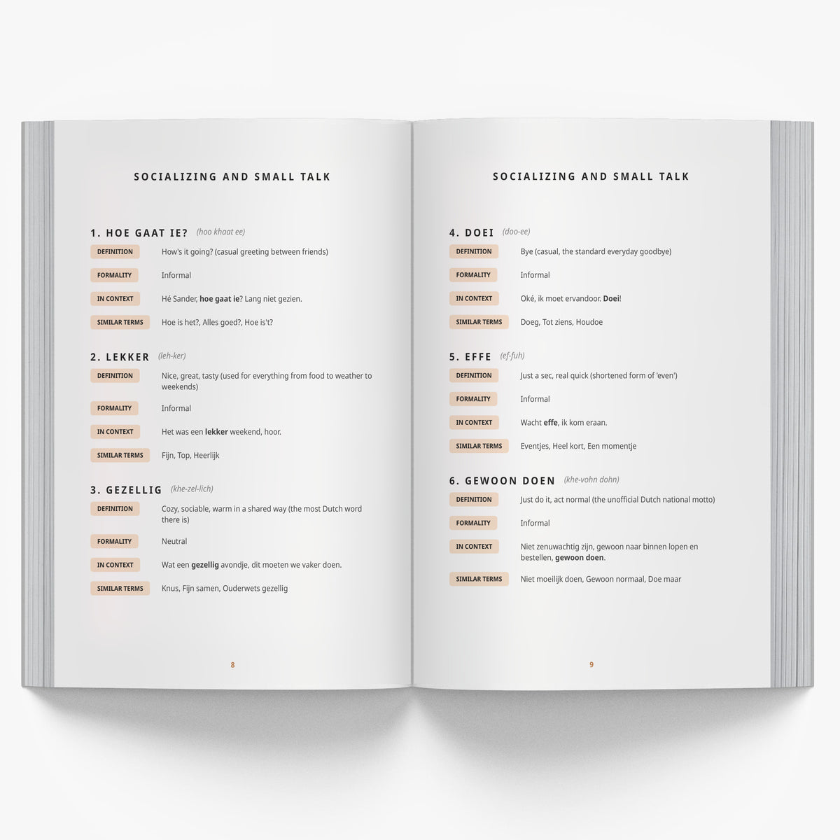 The Essential Dutch Everyday Phrasebook mockup
