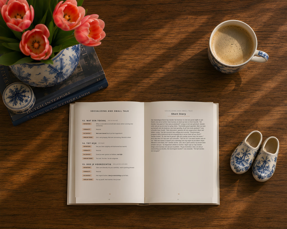 The Essential Dutch Everyday Phrasebook mockup