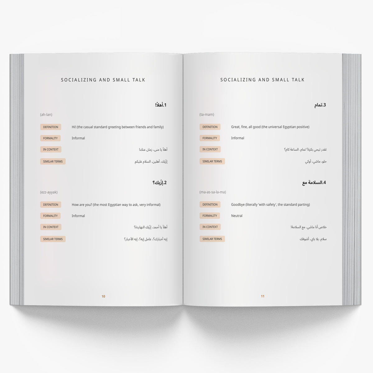 The Essential Egyptian Arabic Everyday Phrasebook mockup