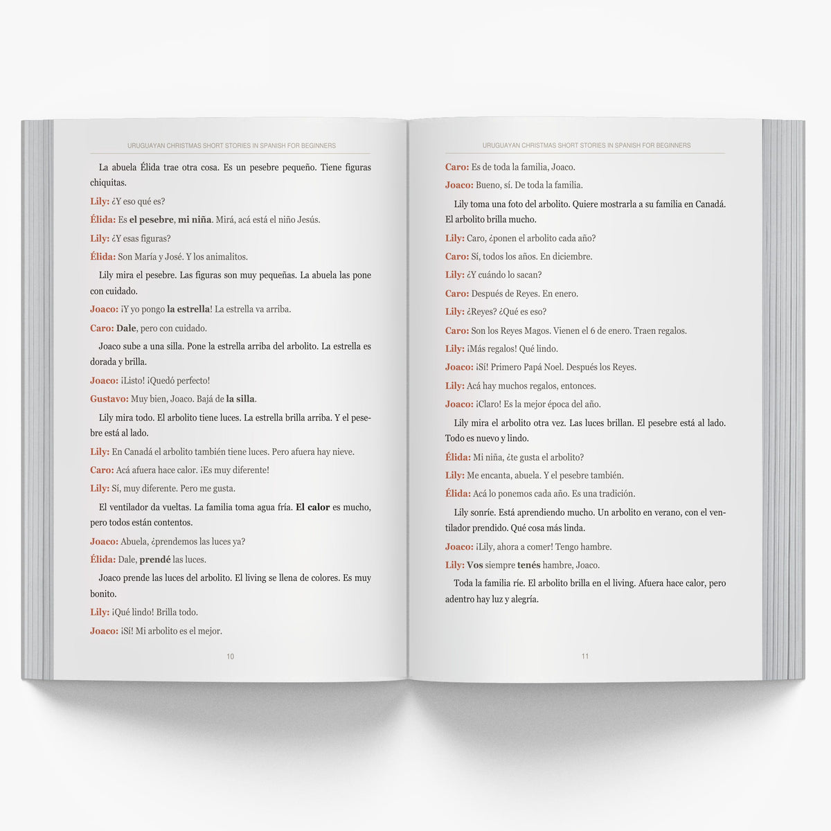 Uruguayan Christmas Short Stories in Spanish for Beginners mockup