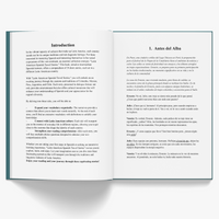 Latin American Spanish Stories for Beginners (Volume 2) — image 3